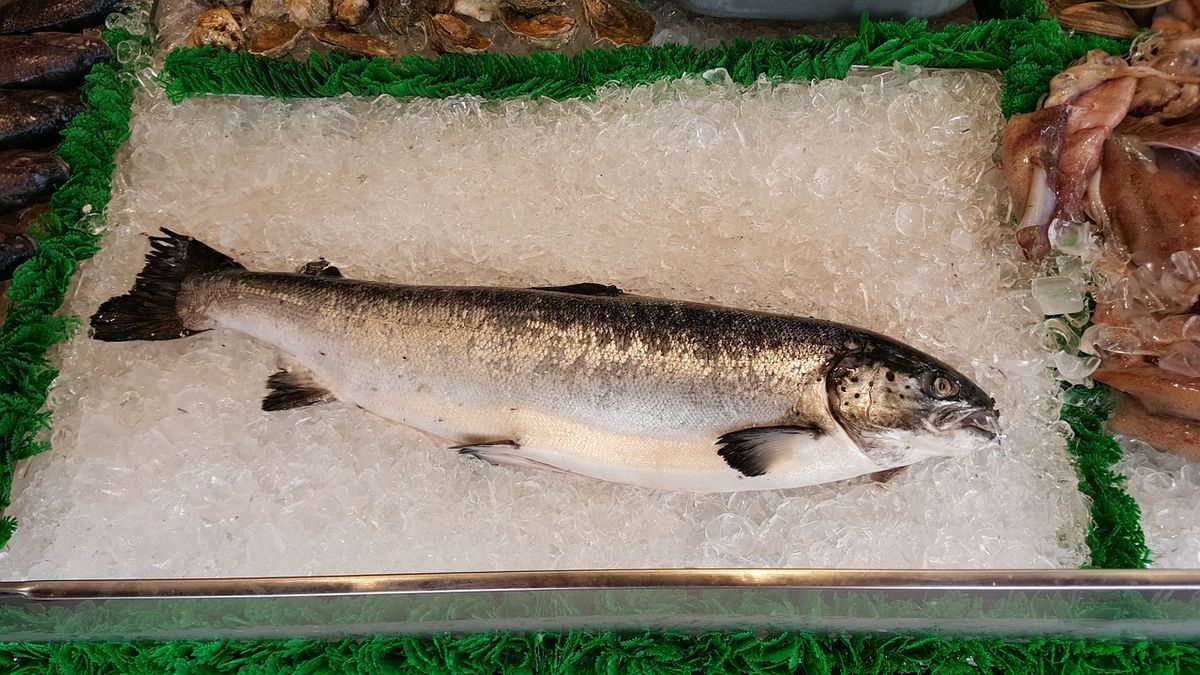 Rahasia Rasa Ikan Segar di Setiap Gigitan TOPAN